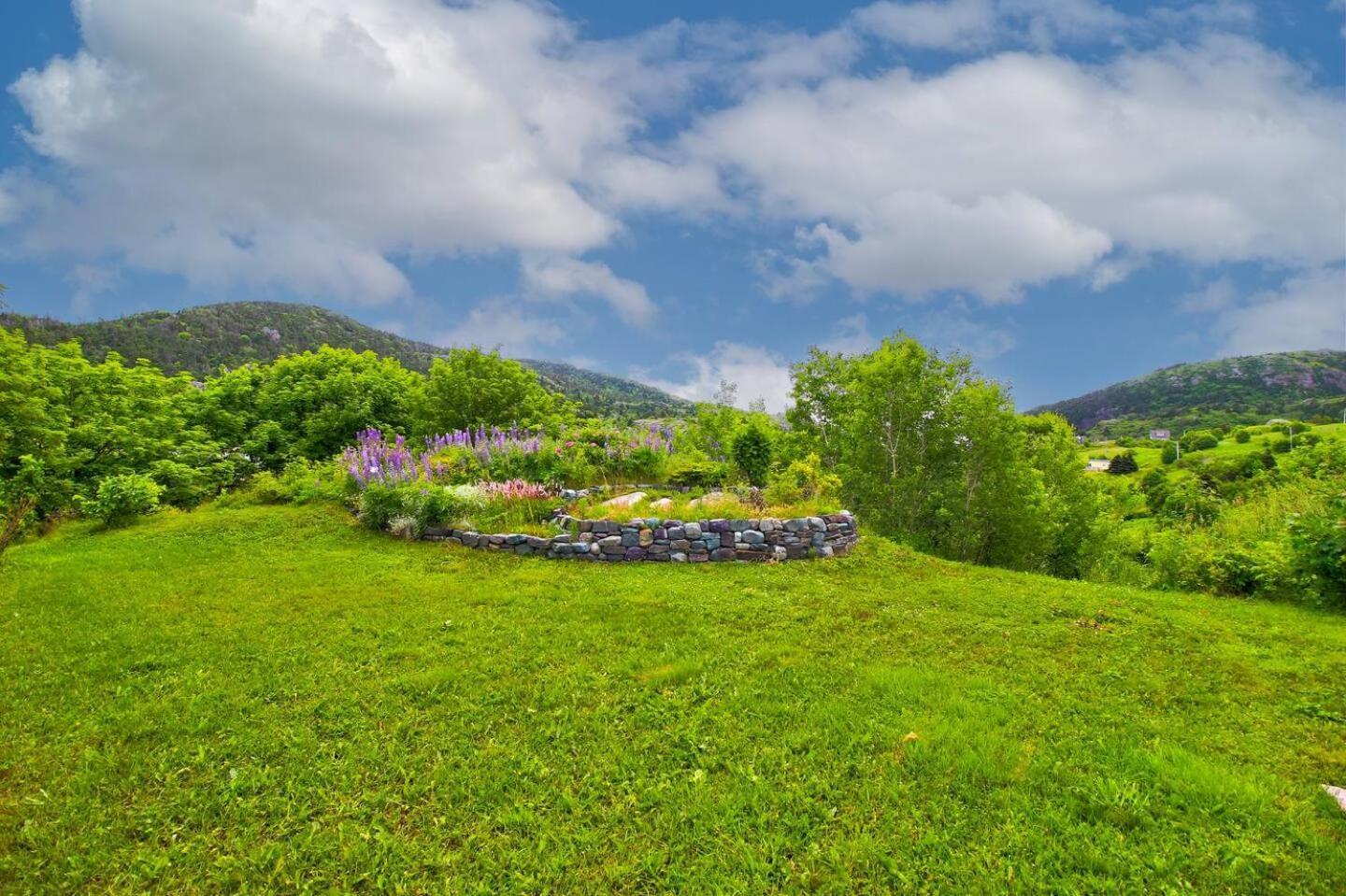 The Vista At Quidi Vidi - Stunning Views & Trails Villa St. John's Luaran gambar